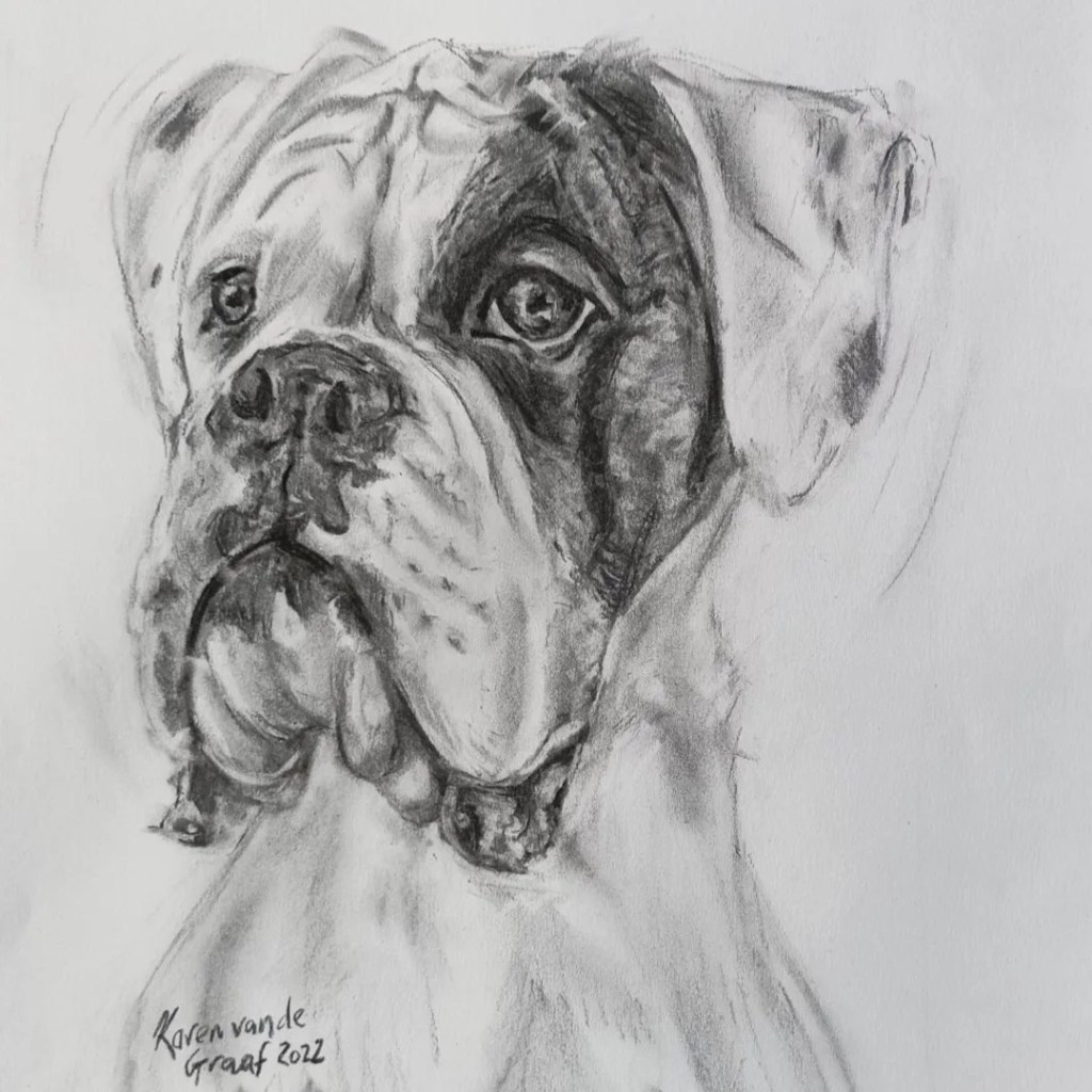 Black and white charcoal life like drawing of a Boxer puppy. Hand drawn on paper in a very realistic style,